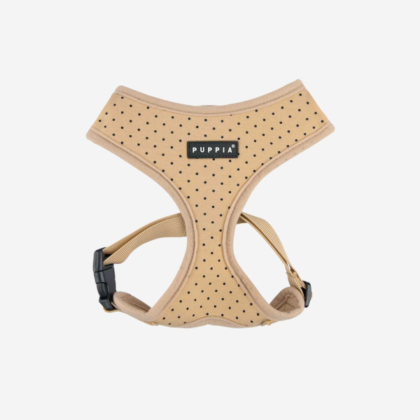 DOTTY HARNESS A