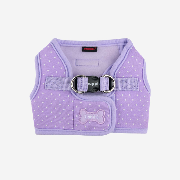 DOTTY HARNESS B