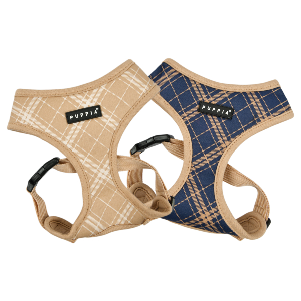 CORWIN HARNESS A