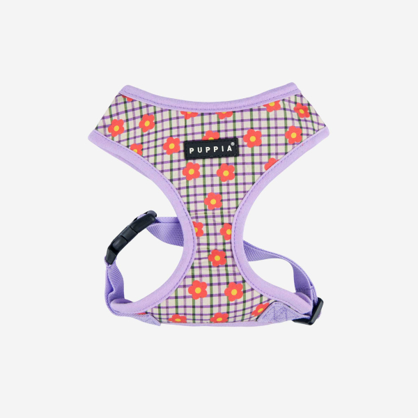 WESTLEY HARNESS A