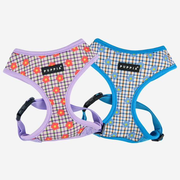 WESTLEY HARNESS A