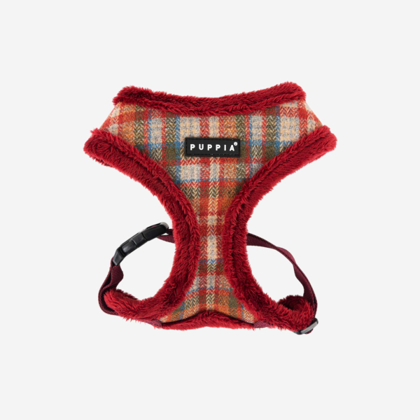Adonissa Harness A