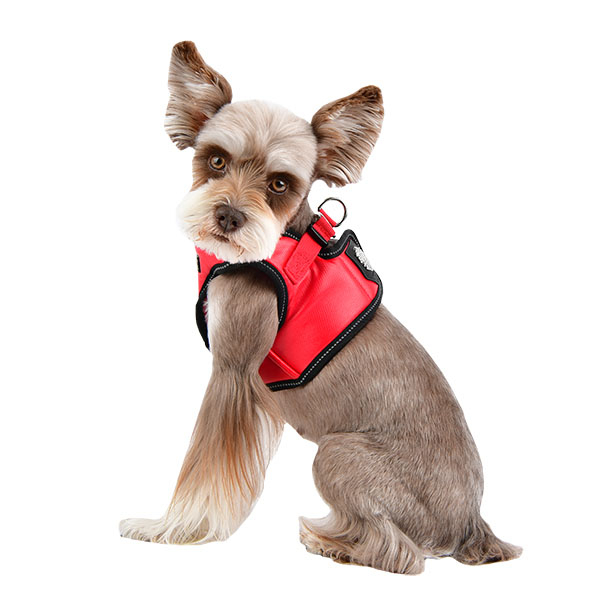 LEGACY HARNESS B
