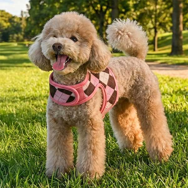 Honey wearing Pinkaholic