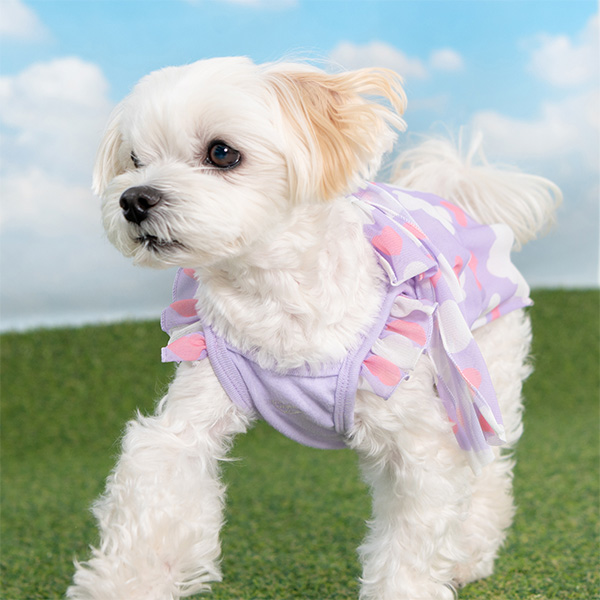Lily wearing Pinkaholic